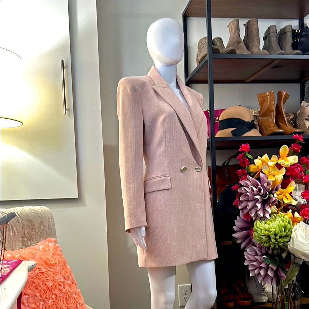 Zara Pink Blazer with Gold Buttons - Picture 9 of 16
